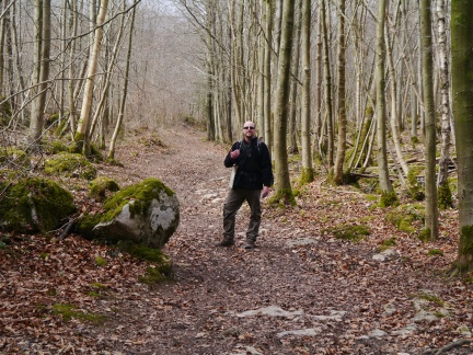 One of the many woodland paths in Beetham Park woods