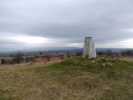 It took me a while but eventually I found the trig point
