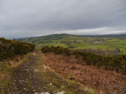 Scout Hill from the bridleway descending from Whin Yeats
