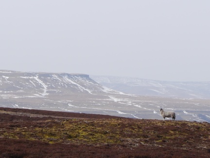 A distant view of Addleborough