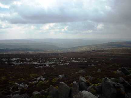 The heathery slopes of Barden Fell from Simon's Seat