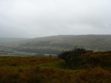 Blea Barf from Gunnerside Pasture