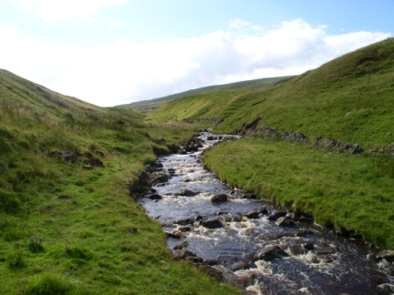 Cosh Beck