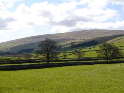 Darnbrook Fell from Littondale