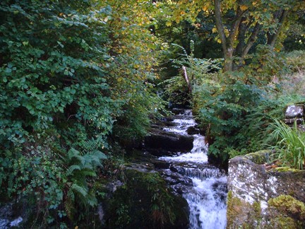 Flinter Gill