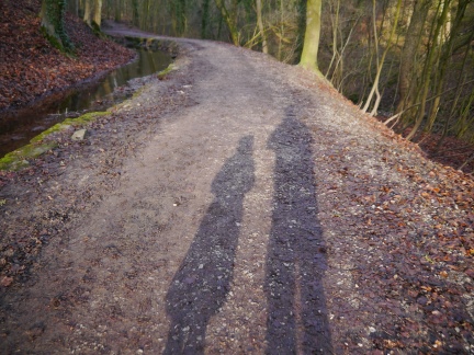Our shadows on the woodland path