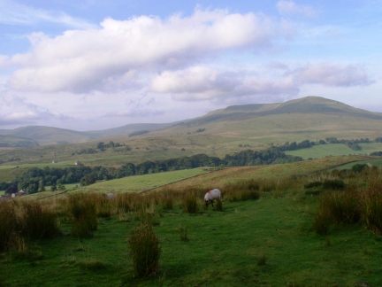 Looking south west towards Widdale Fell