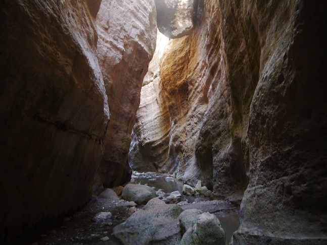 The Avakas Gorge