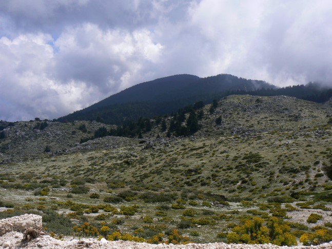 Mount Aenos