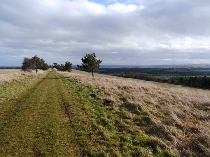 Looking along the wide path on Caulkleys Bank