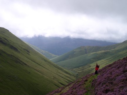 Above Sail Beck