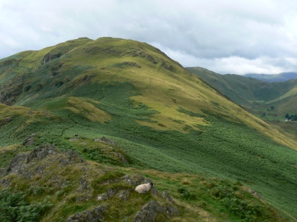Beda Fell