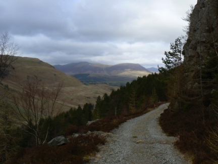 The forest track below Sippling Crag