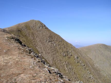 Catstye Cam