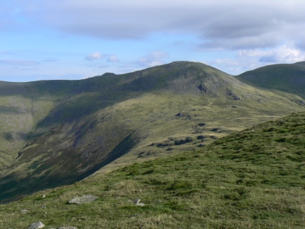 Haycock