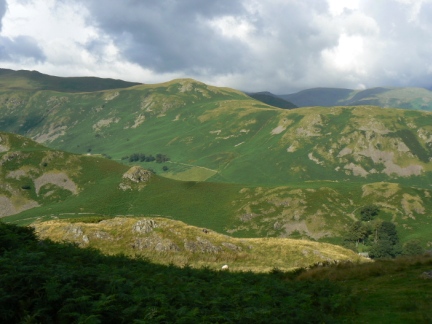 High Dodd