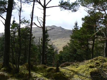 A glimpse through the woods of High Seat