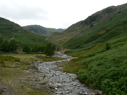Red Dell Beck