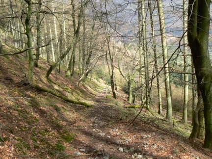 Looking back down the steep woodland path up Smaithwaite Banks