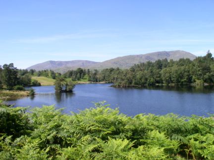 Tarn Hows and the Coniston Fells