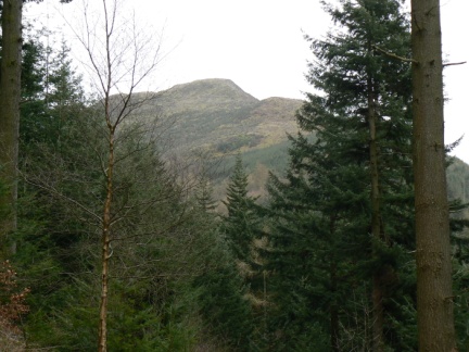 A glimpse through the trees of The Dodd