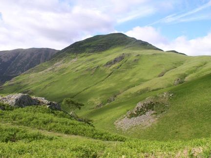 Whiteless Pike