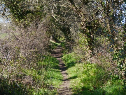 The holloway west of Plas Dolau