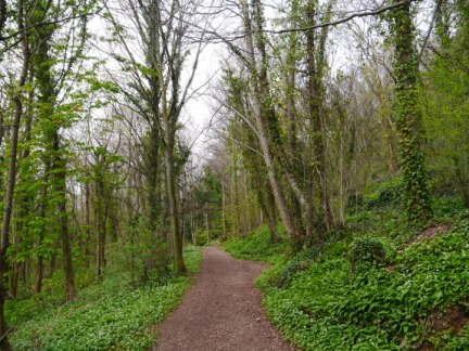 The path along the bottom of Marl Hall Woods