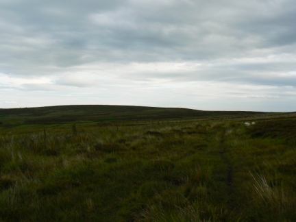 Askwith Moor