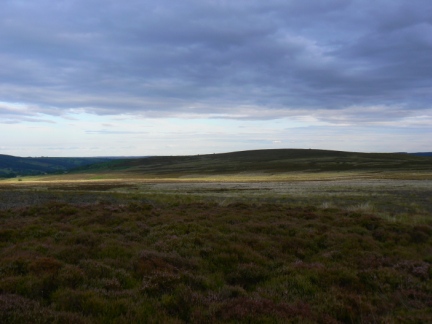 Askwith Moor