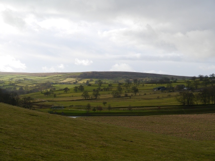 Askwith Moor