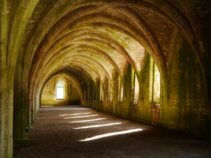 The well preserved cellarium