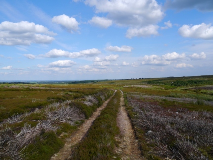 The bridleway leading across Dallow Moor to Skell Gill farm
