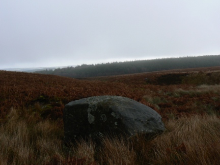 The large boulder marked as 'Eagle Stone' on the OS map
