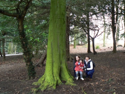 Rhiannon got very excited about this 'green' tree
