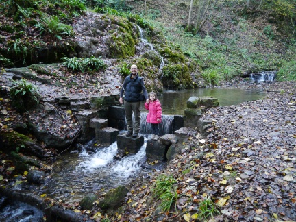 On the stepping stones over Grewelthorpe Beck