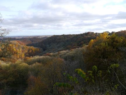 Looking down over Hackfall Woods