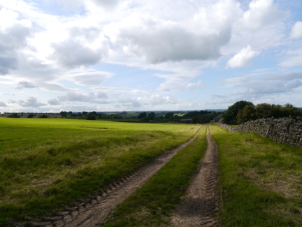 The view north from outside the plantations of High Moor
