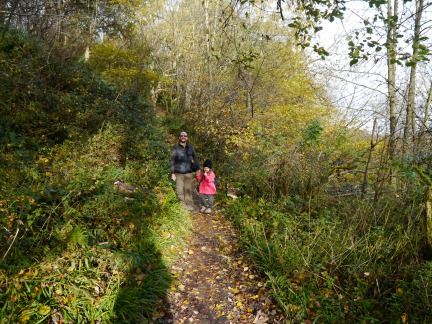 On one of the woodland paths