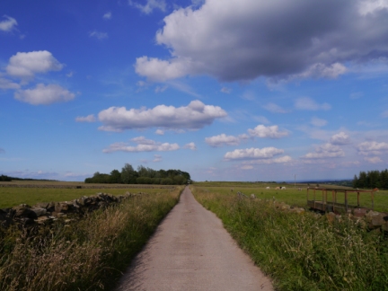 The country lane between Skell Gill farm and Crag House