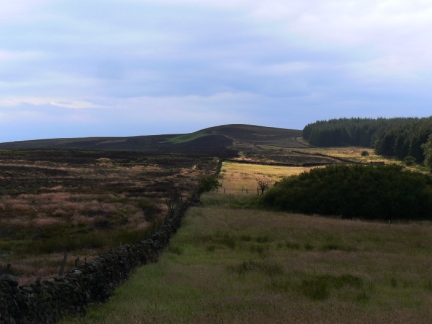 Lippersley Pike from Ellacarr Pike