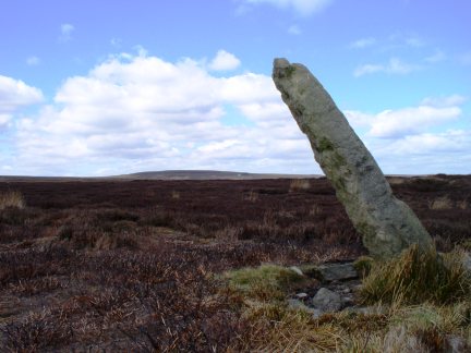 Long Rod