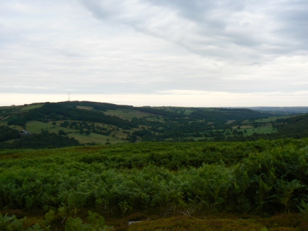 Looking down to lower Washburndale