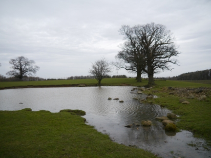 The smaller of the two ponds on Mackershaw