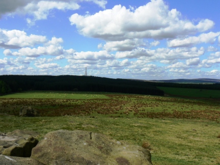 Norwood Edge