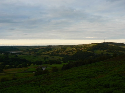 Late evening sunlight on Norwood Edge