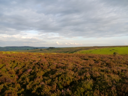 Pateley Moor