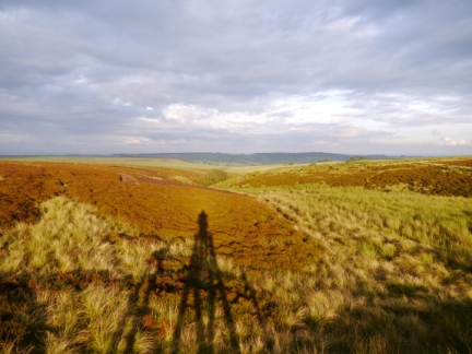 Another view of Pateley Moor