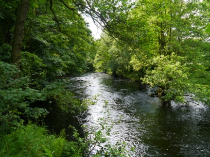 The River Nidd