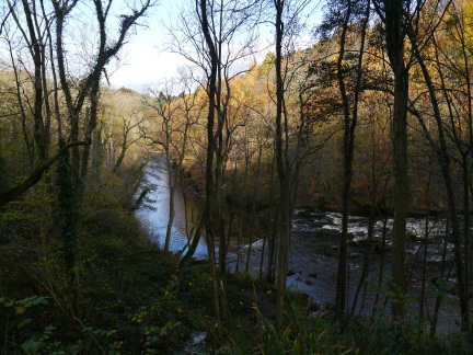 The River Ure